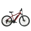 CE Approved 250w Chinese Electric Mountain Bike 