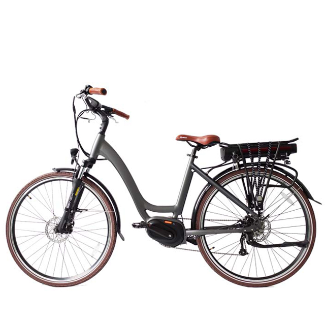 250w Motor Mid Drive City Electric Bike with CE